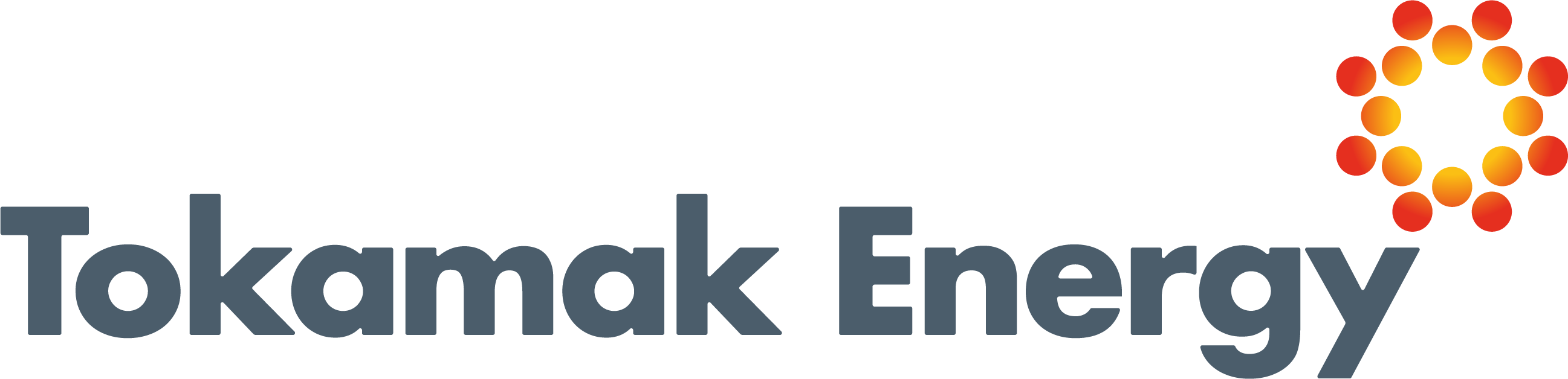 Tokamak logo