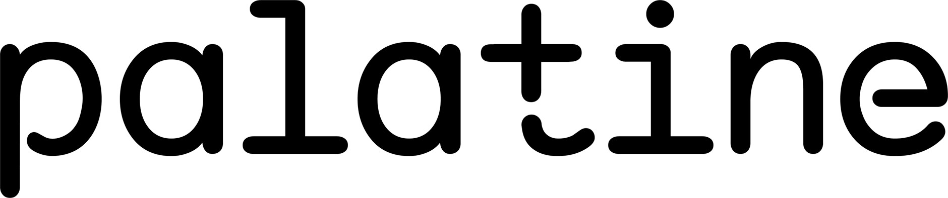 Palatine logo