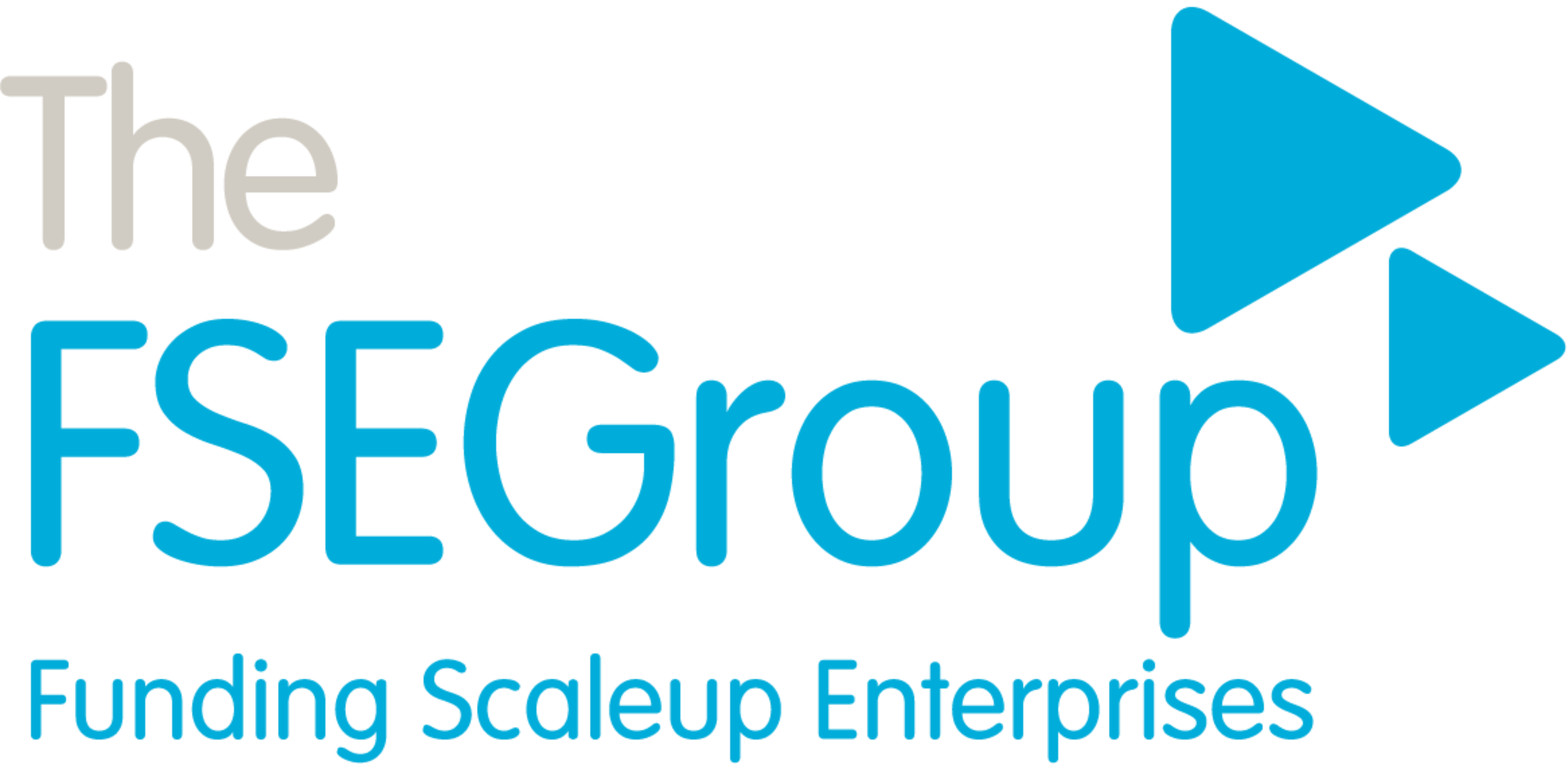 FSE Group logo
