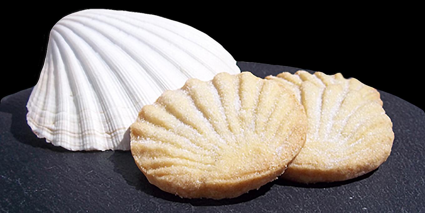 A pair of Aberffraw biscuits in the shape of a sea shell, on a table next to a sea shell