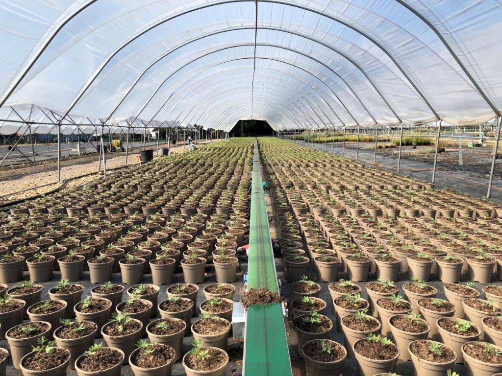 A large farmers tent with thousands of potted plans