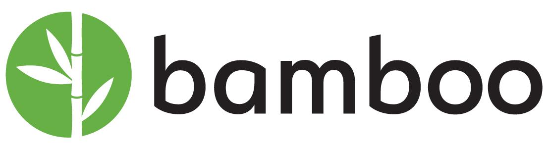 Bamboo Systems company logo