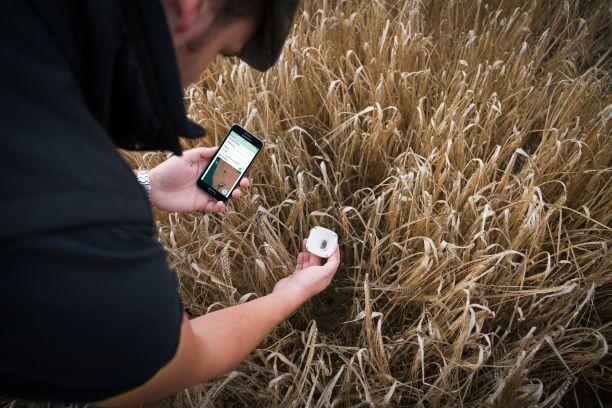 A man using patented technology to conduct a soil and water health screening