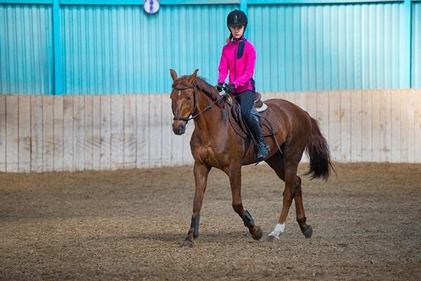 Girl riding bay horse performing dressage test in equestrian competition
