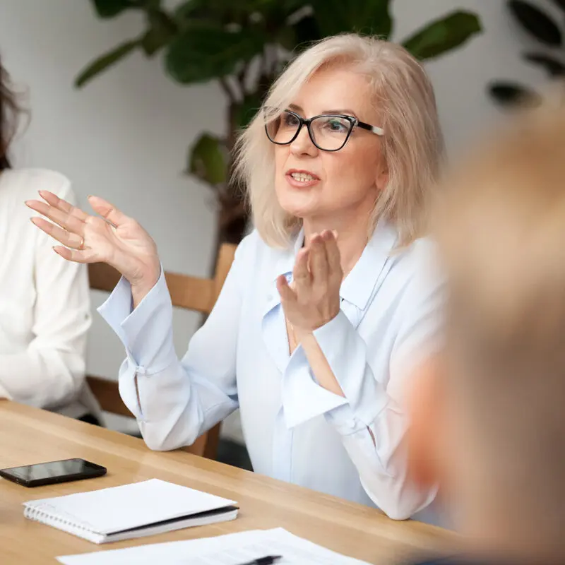 Female colleague in the boardroom