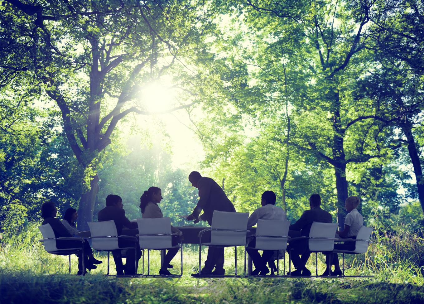 A conceptual image of a boardroom meeting taking place in a forest