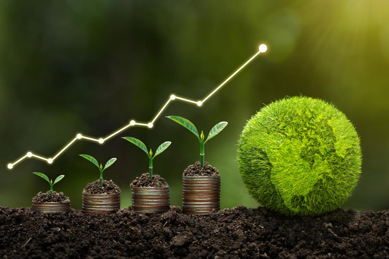 Conceptual photo of stacks of coins and green shoots growing from them into a green earth