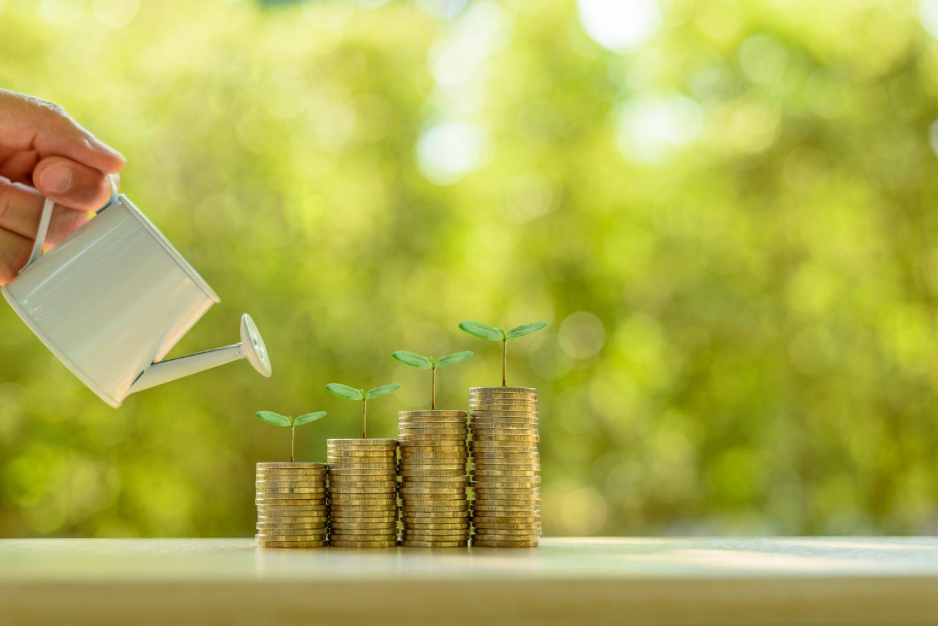 Conceptual photo of stacks of coins being watered and green shoots growing from them