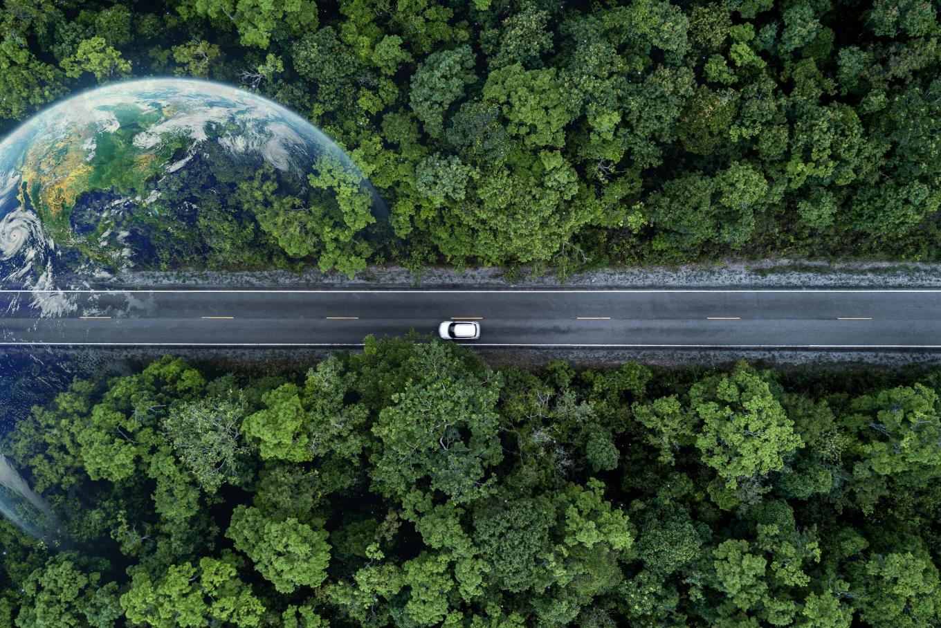 Image depicting a road through a forest with an earth superimposed over the top