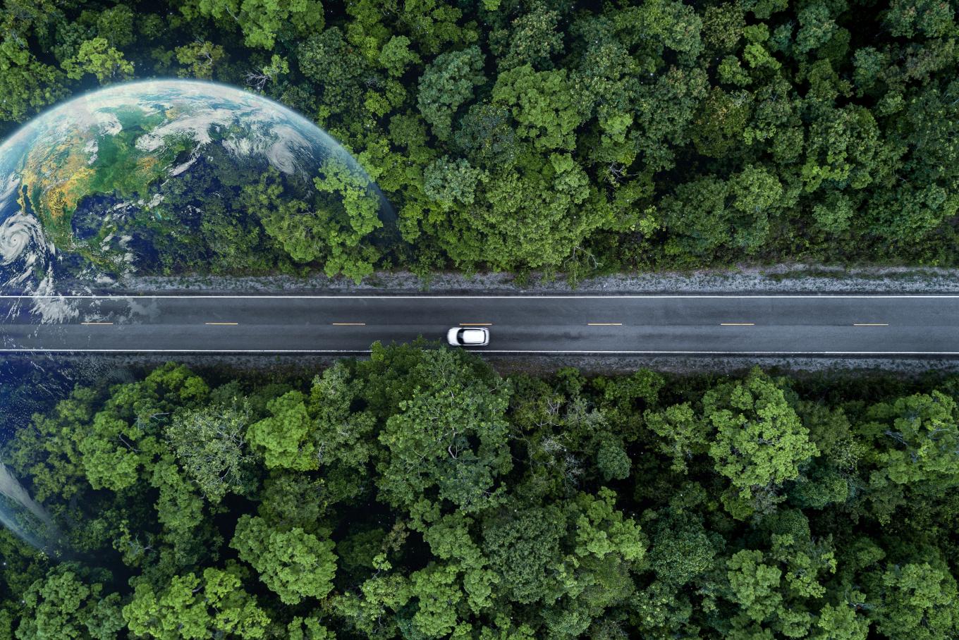 Image depicting a road through a forest with an earth superimposed over the top